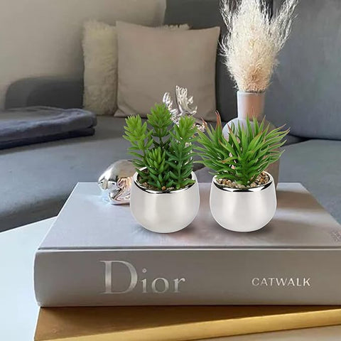 Artificial Silver Pot Plant - Areebreviews