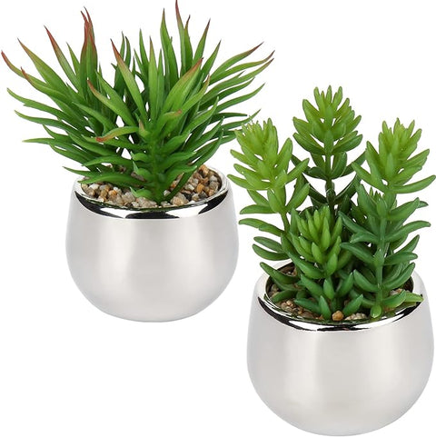 Artificial Silver Pot Plant - Areebreviews
