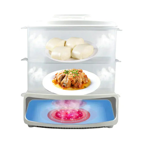 Electric Steamer and Defroster - Areebreviews