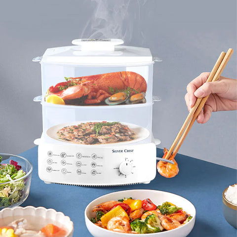 Electric Steamer and Defroster - Areebreviews