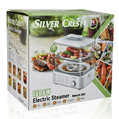 Electric Steamer and Defroster - Areebreviews