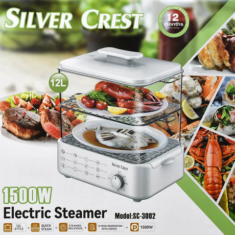 Electric Steamer and Defroster - Areebreviews